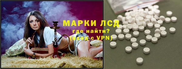 ешки Аркадак