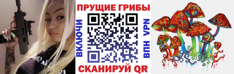 Псилоцибиновые грибы мицелий  дарк нет телеграм  Брянск 