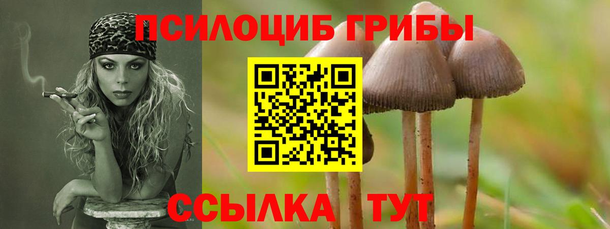 Брянск  Галлюциногенные грибы мухоморы  Галлюциногенные грибы мицелий  Вход с VPN 